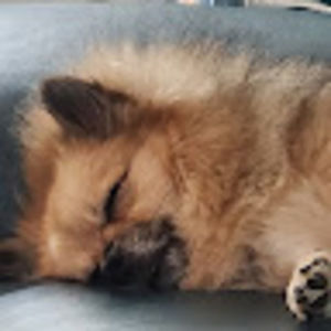 Meet your Posher, Debra